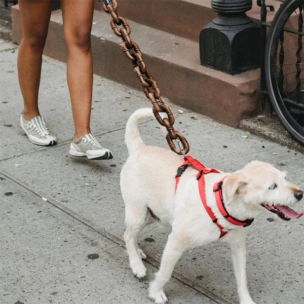 Stylish Canine Chain Leash